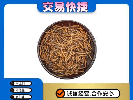 临汾市蒲市回收散虫草